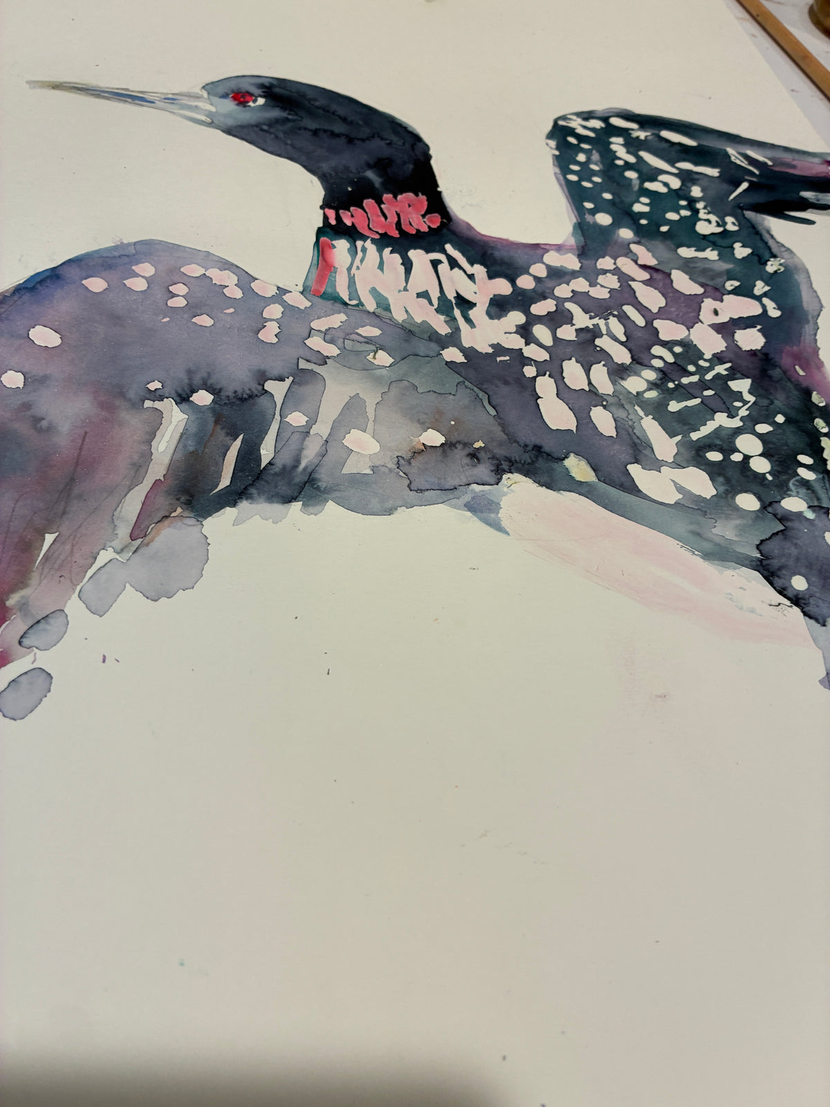 Loon Rising Original Loon Watercolor on 11" x 14" paper
