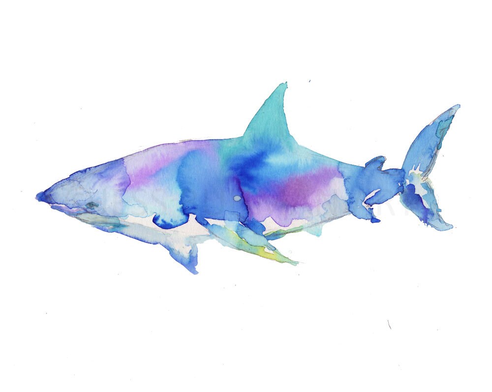 Shark Watercolor Print | "Great White" by Jess Buhman, Shark Painting, Shark Print Ocean Art, Ocean Animal Art, Nursery Art, Ocean Painting