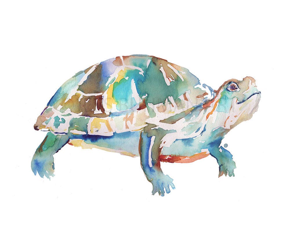 Turtle Print, Watercolor Turtle, 8 x 10 Print, Turtle Painting, Turtle Art, Watercolor Turtle, Print of Turtle, Pond Animals, Box Turtle