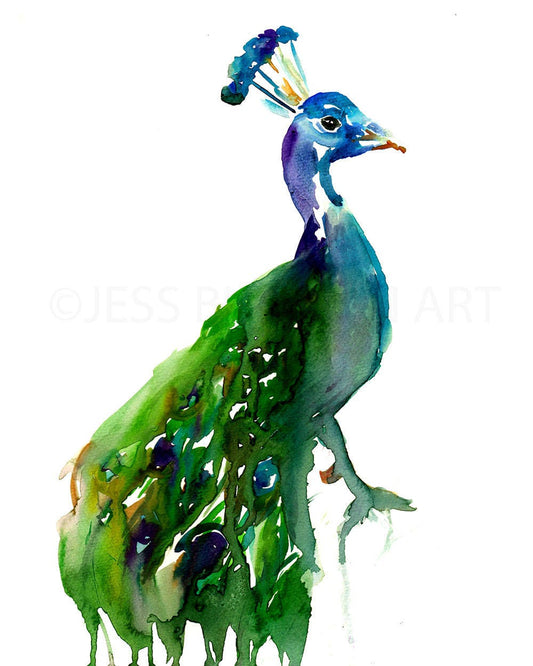 Peacock Watercolor Print | "Priscilla the Peacock" by Jess Buhman, Multiple Sizes, Wall Art, Bird Painting, Home Decor, Choose Your Size