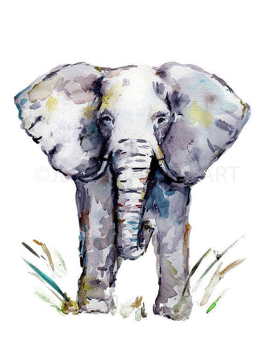 Elephant Watercolor Print | "Cornelius" by Jess Buhman, Select Your Size, Multiple Sizes, Nursery Art, Safari Animal Painting