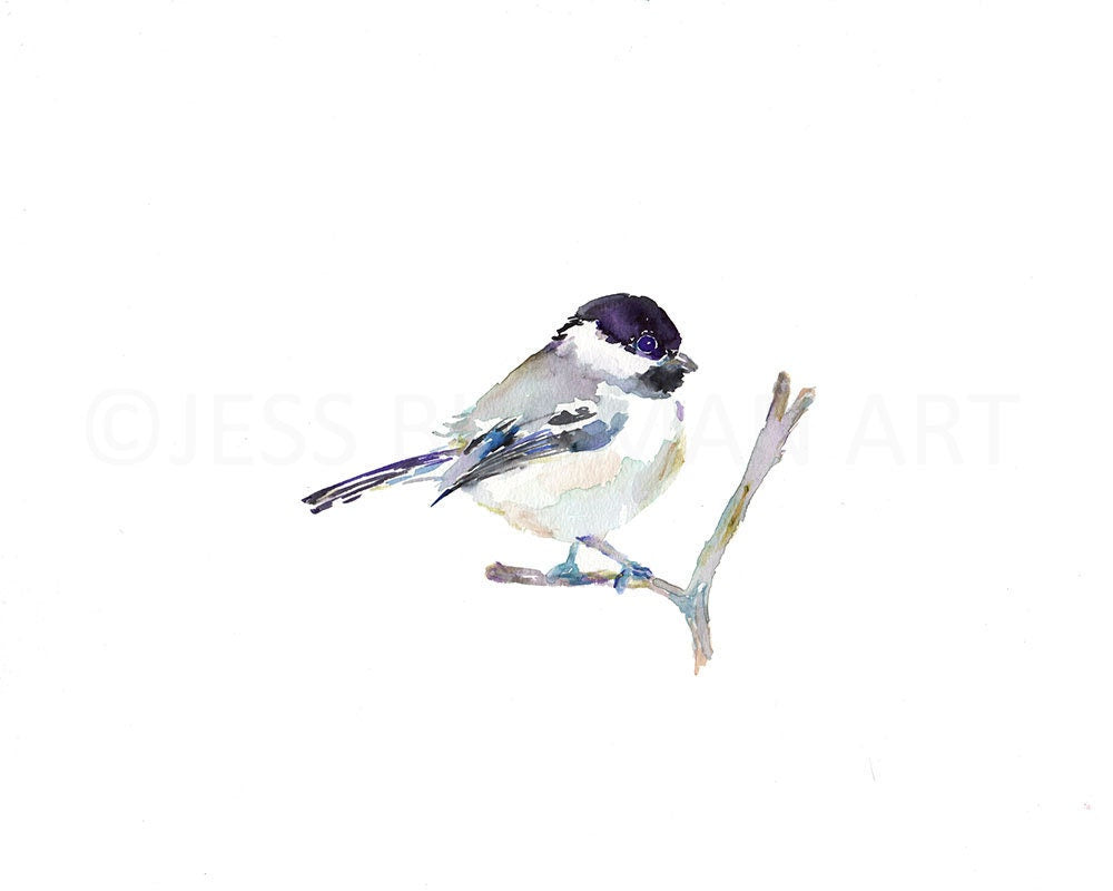 Chickadee Watercolor Print | "Emmylou" by Jess Buhman, Multiple Sizes, Choose Your Size, Bird Painting, Watercolor Bird Art, Chickadee Print