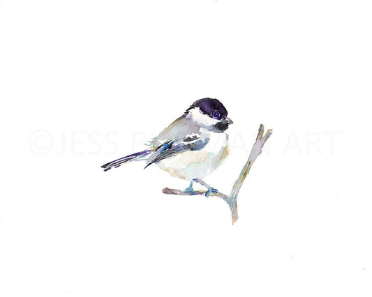 Chickadee Watercolor Print | "Emmylou" by Jess Buhman, Multiple Sizes, Choose Your Size, Bird Painting, Watercolor Bird Art, Chickadee Print