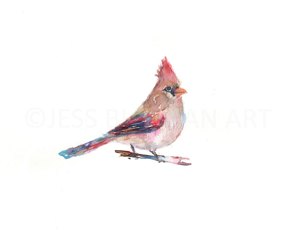 Cardinal Watercolor Print | "Darling" by Jess Buhman, Multiple Sizes, Select Your Size, Wall Art, Bird Painting