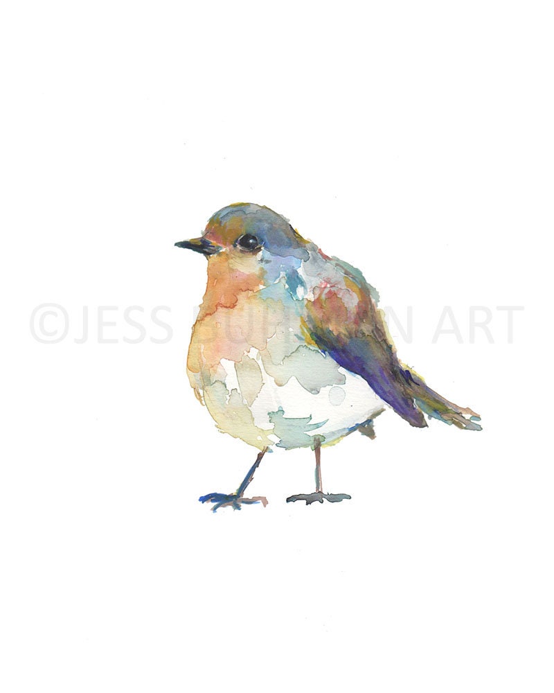 English Robin Watercolor Print | "English Robin" by Jessica Buhman, Multiple Sizes, Select Your Size, Watercolor Bird, Abstract Bird Art