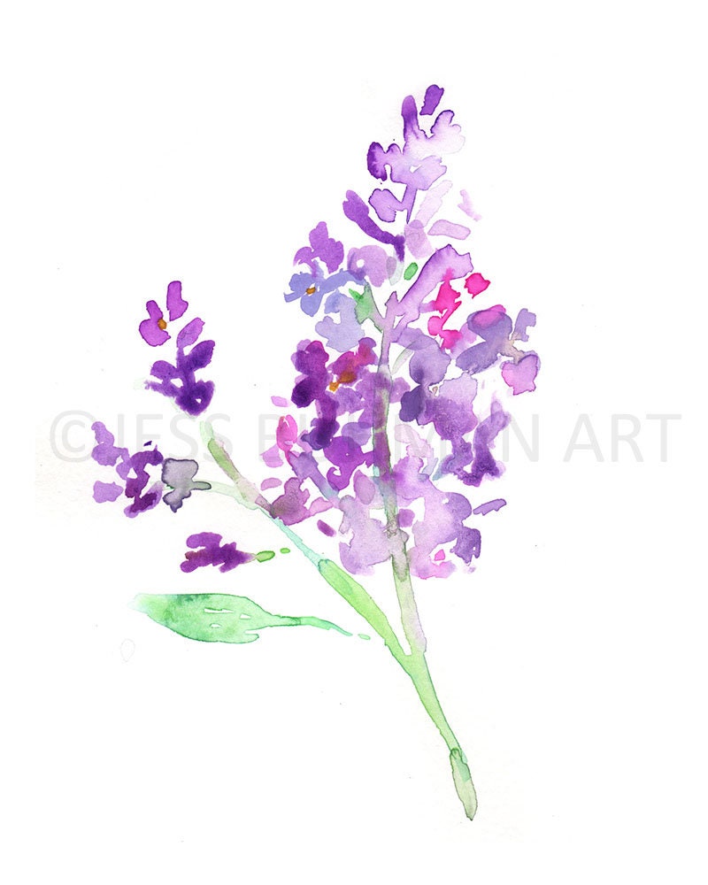 Lilac Watercolor Print | "Lilac Season" by Jess Buhman, Multiple Sizes, Select Your Size, Floral Painting Print, Flower Painting