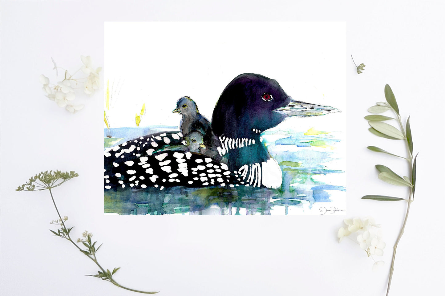 Loon Watercolor Print | "Loon Love" by Jess Buhman, Multiple Sizes, Select Your Size, Cabin Art, Minnesota Print