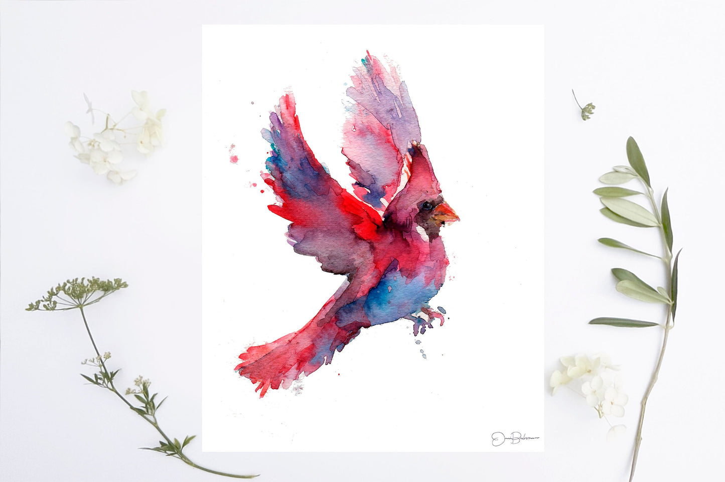 Cardinal Print | "Cordelia the Cardinal" by Jess Buhman, Multiple Sizes, Choose Your Size