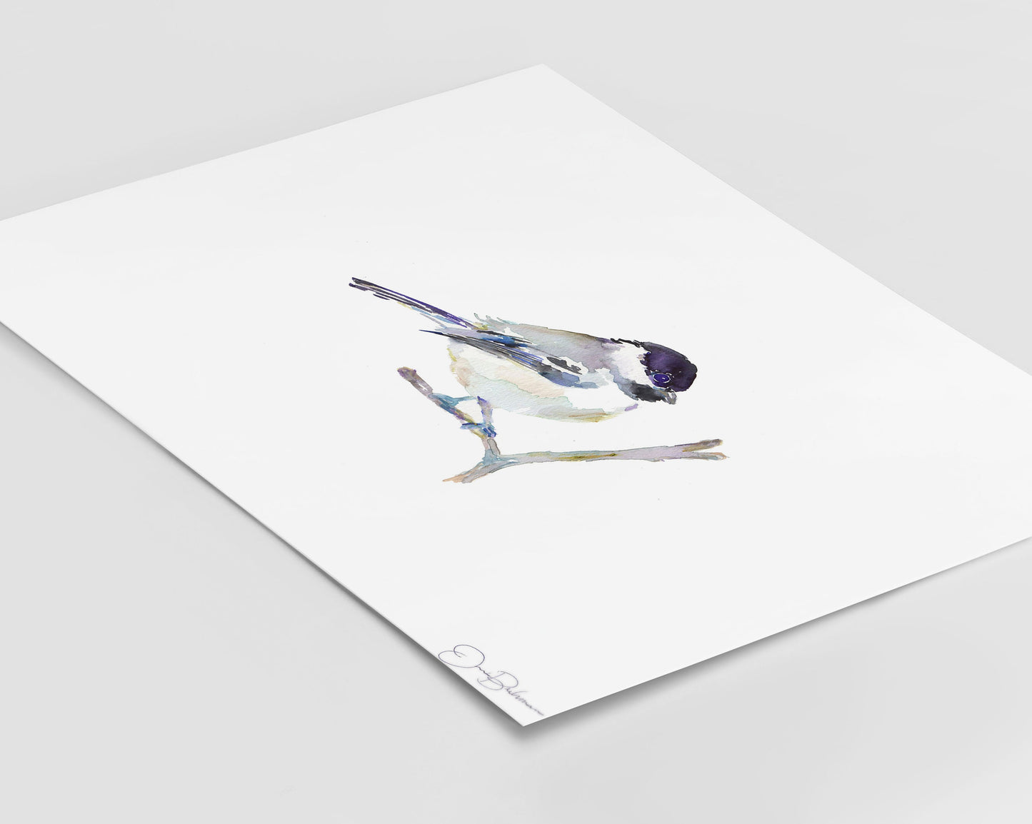 Chickadee Watercolor Print | "Emmylou" by Jess Buhman, Multiple Sizes, Choose Your Size, Bird Painting, Watercolor Bird Art, Chickadee Print