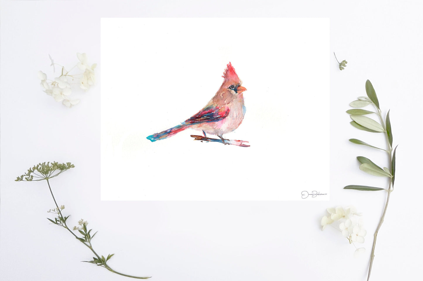 Cardinal Watercolor Print | "Darling" by Jess Buhman, Multiple Sizes, Select Your Size, Wall Art, Bird Painting