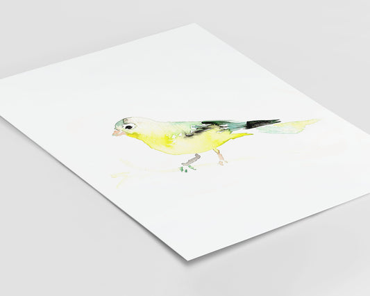 Goldfinch Bird Watercolor Print | "Mellow Yellow" by Jess Buhman, Multiple Sizes, Wall Art, Nursery Painting, Home Decor, Choose Your Size