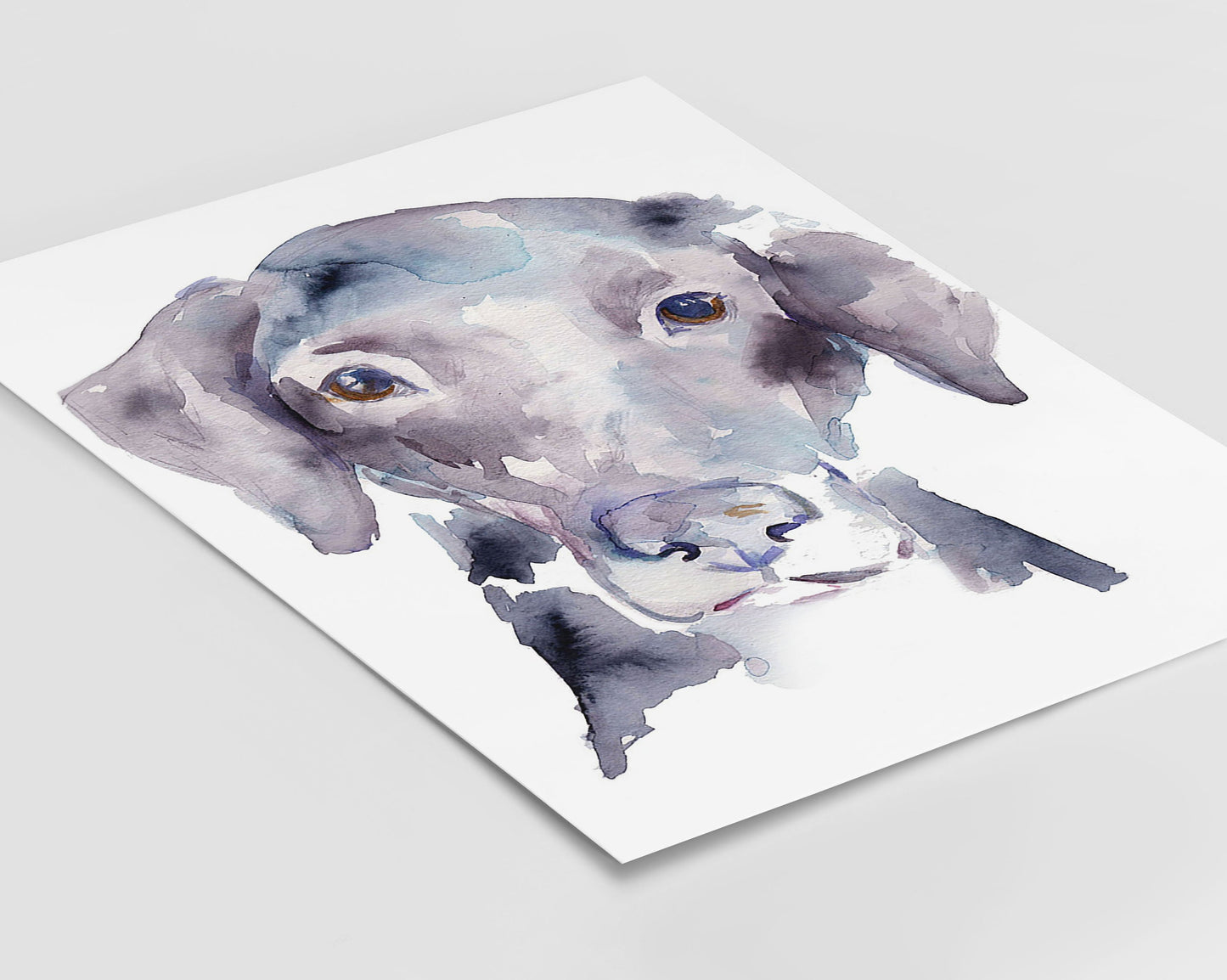 Labrador Watercolor Print Instant Download | "Black Lab" by Jess Buhman, 8" x 10" Digital File, Print at Home, Dog Lover Gift