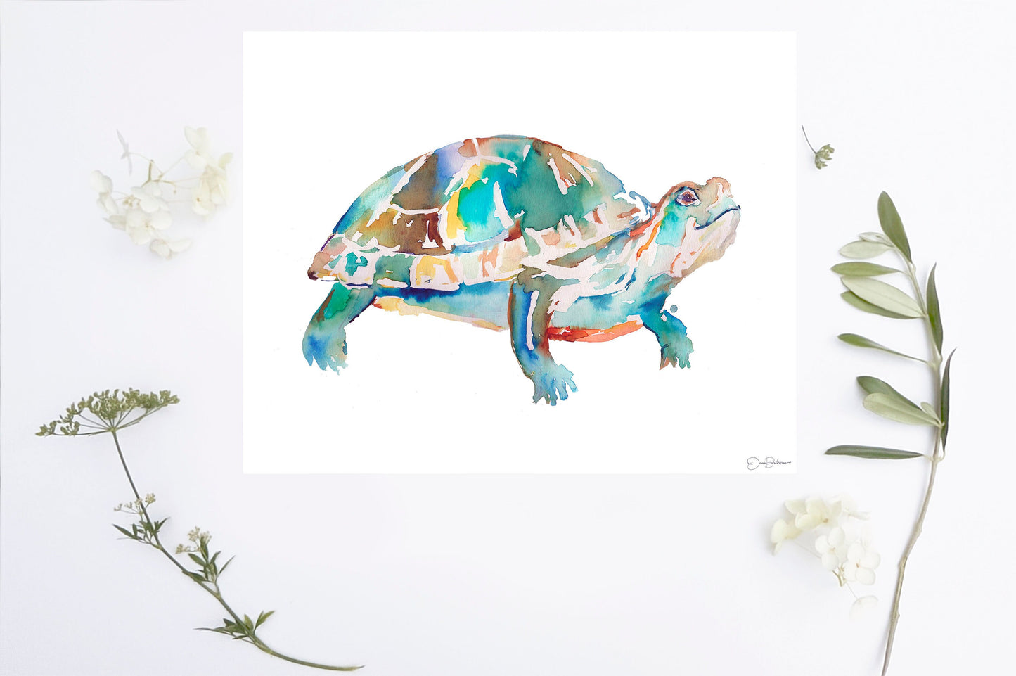 Turtle Print, Watercolor Turtle, 8 x 10 Print, Turtle Painting, Turtle Art, Watercolor Turtle, Print of Turtle, Pond Animals, Box Turtle
