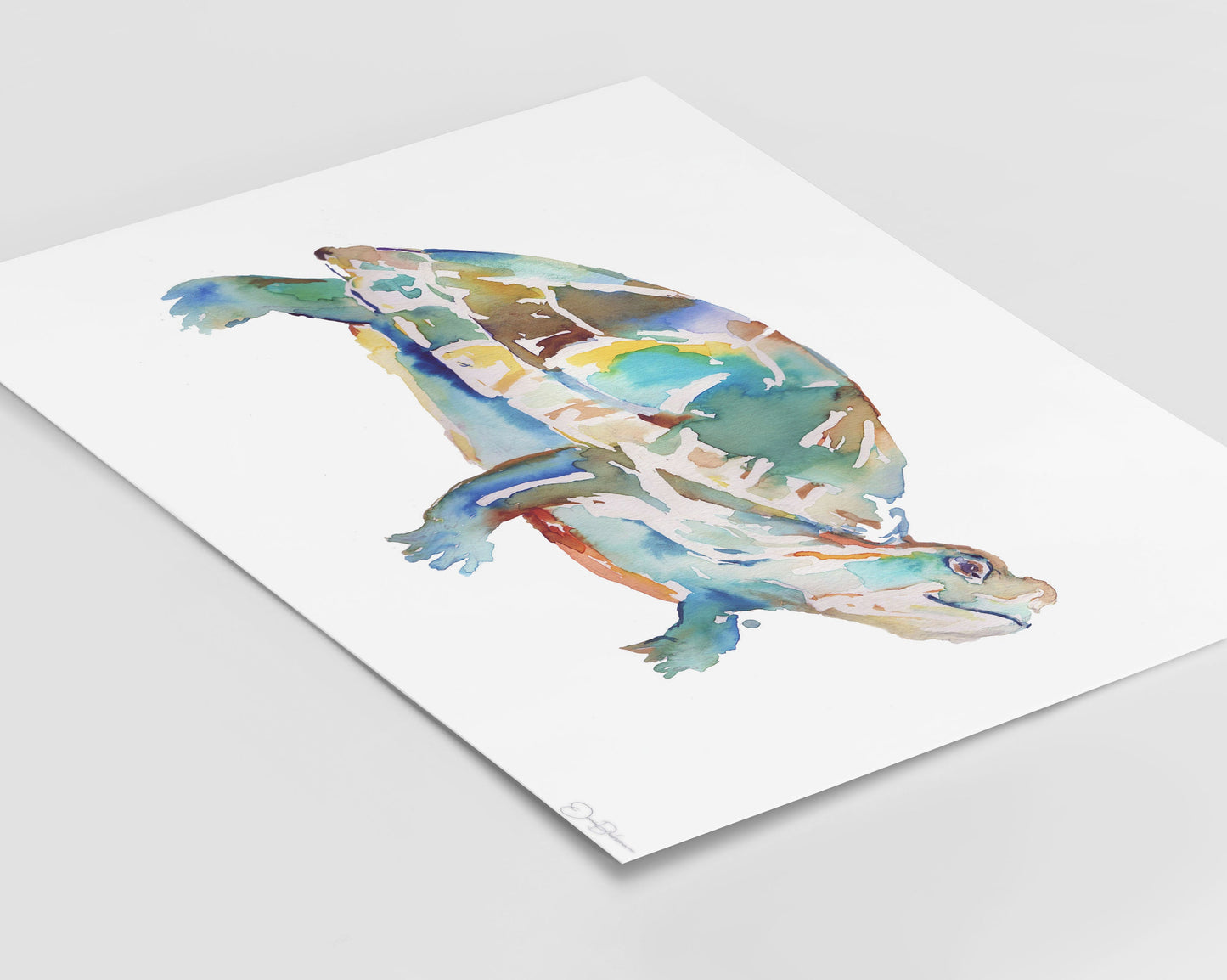 Turtle Print, Watercolor Turtle, 8 x 10 Print, Turtle Painting, Turtle Art, Watercolor Turtle, Print of Turtle, Pond Animals, Box Turtle