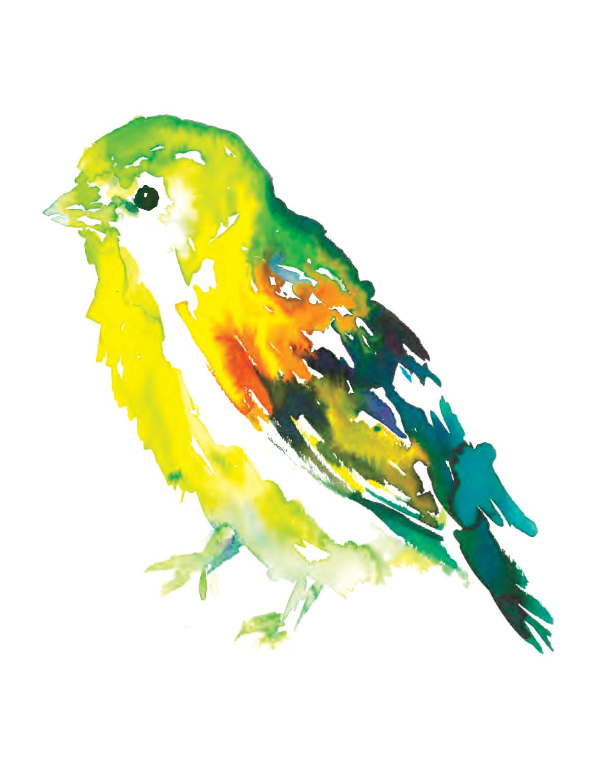 Bird Watercolor Print | "Will the Wee Bird" by Jess Buhman, Choose Your Size, Select Your Size, Woodland Animal, Bright Bird, Gift for Her