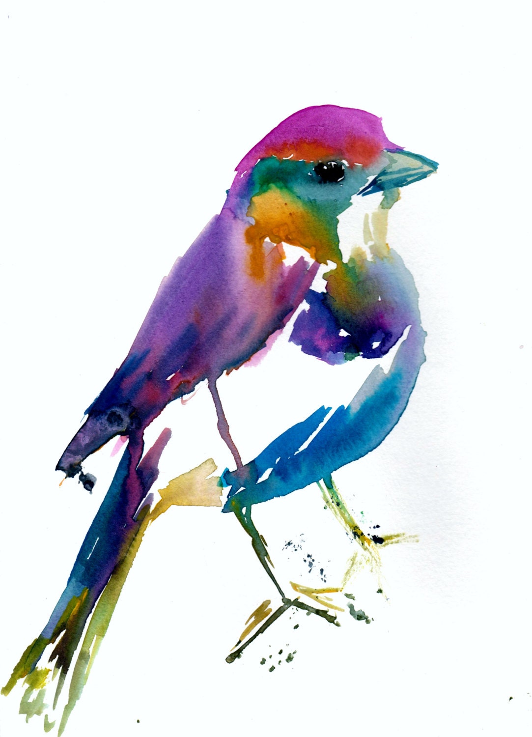 Colorful Bird Print | "Ren the Bird" by Jess Buhman, Multiple Sizes, Select Your Size, Watercolor Bird Print