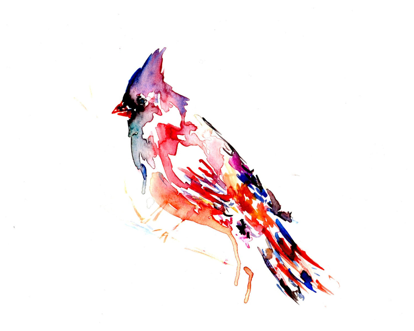 Cardinal Watercolor Painting | "The Cardinal Rule" by Jess Buhman, Watercolor Print of Bird, Cardinal Painting, Cardinal Print