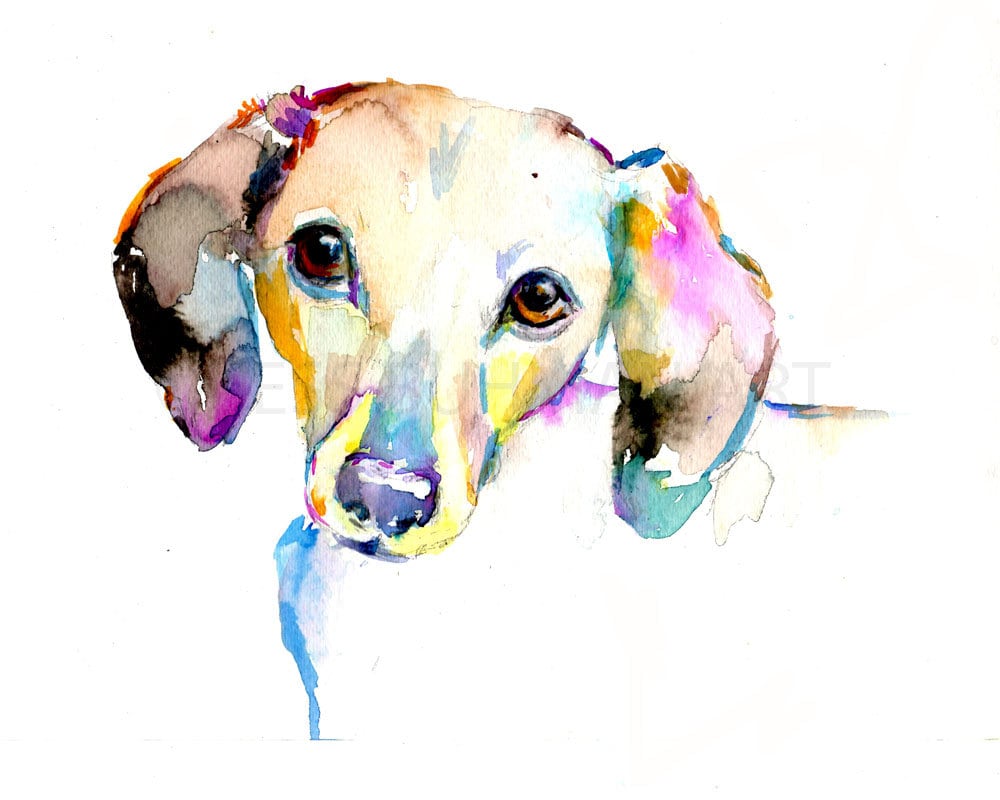 Dachshund Watercolor Print | "Dachshund" by Jess Buhman, Multiple Sizes, Select Your Size, Print of Dachshund, Dachshund Lover Gift