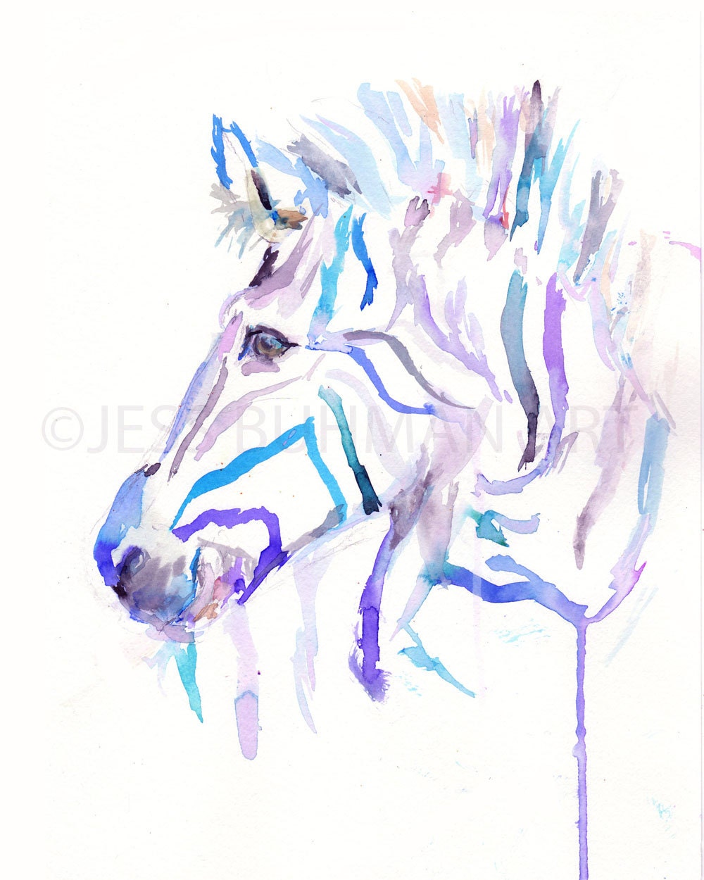 Zebra Watercolor Print | "Zebra" by Jess Buhman, Multiple Sizes, Select Your Size, Zebra Print, Zoo Animal Art, Safari Art, Nursery Art