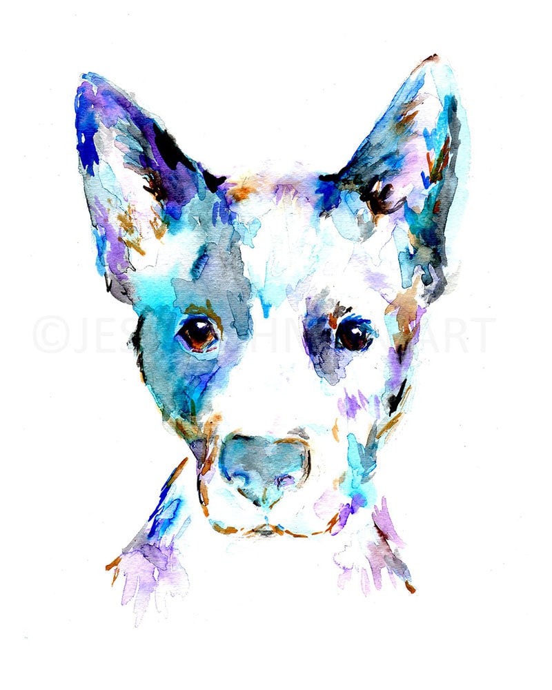 Blue Heeler Print | "Blue" by Jess Buhman, Multiple Sizes, Select Your Size, Watercolor Dog Art, Australian Cattledog Painting, Dog Print