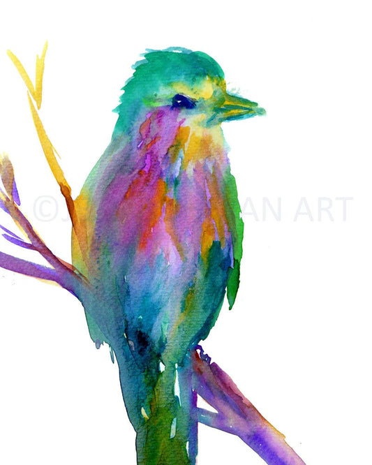 Watercolor Print of Bird "Wilma the Bird" by Jess Buhman Lilac Breasted Roller Art, Bird Painting, Watercolor Bird Print, Abstract Bird Art