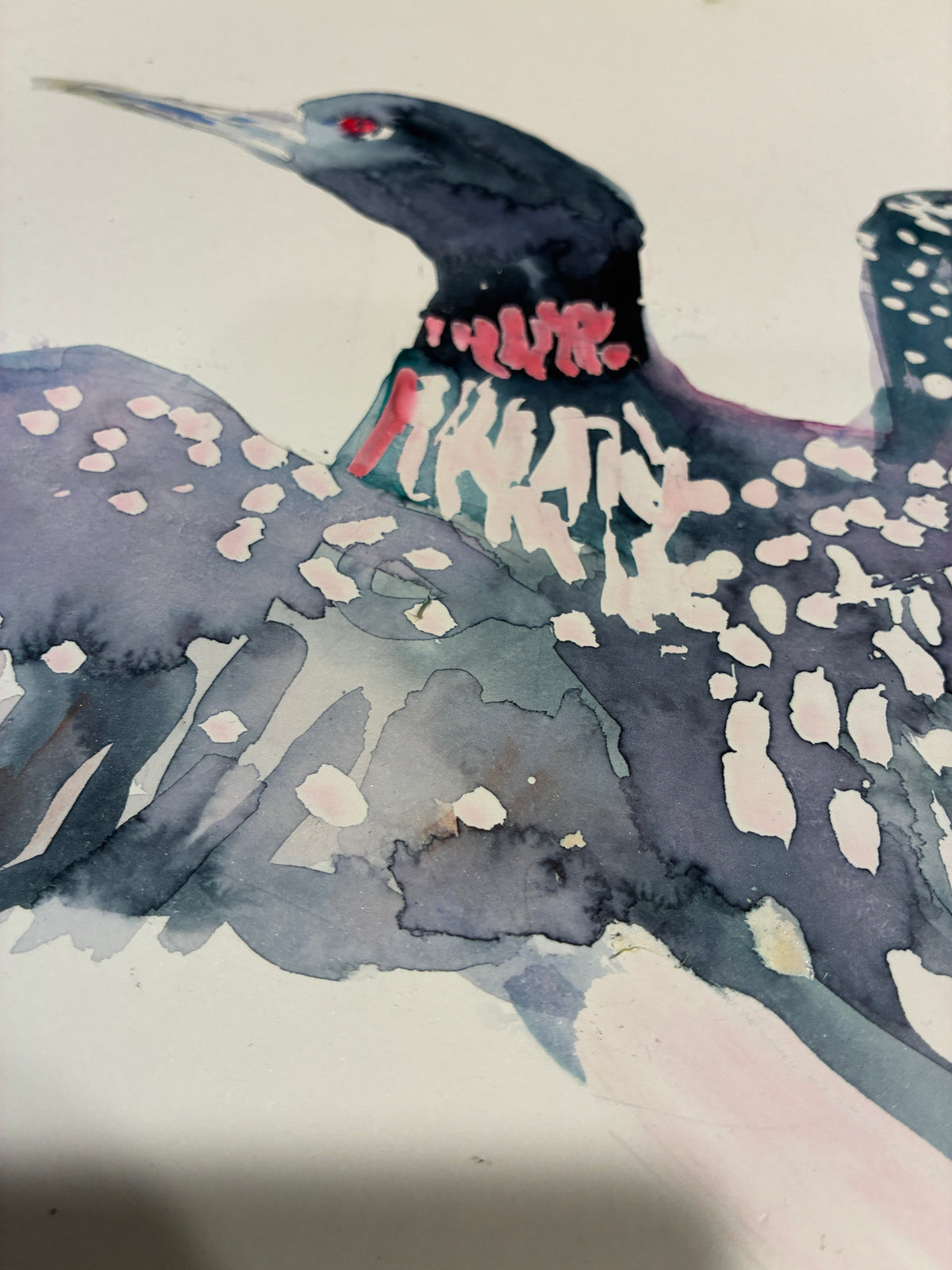Loon Rising Original Loon Watercolor on 11" x 14" paper