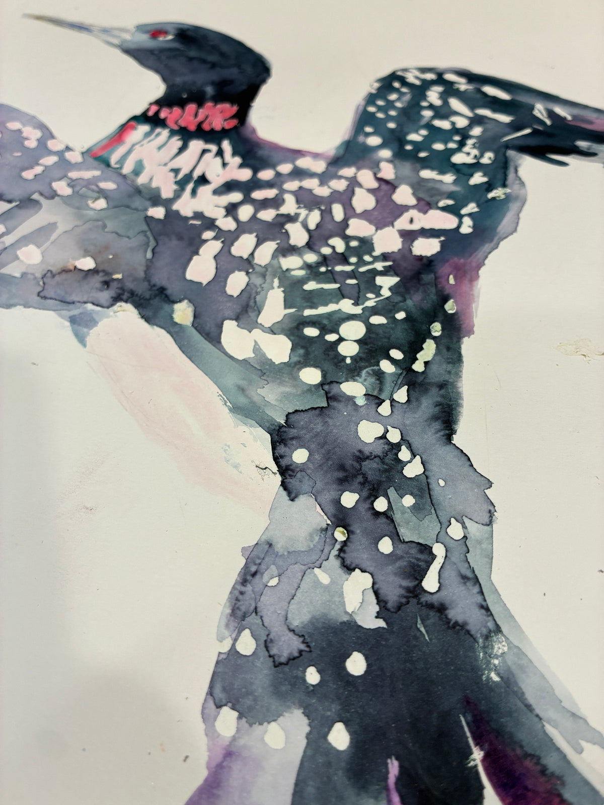 Loon Rising Original Loon Watercolor on 11" x 14" paper