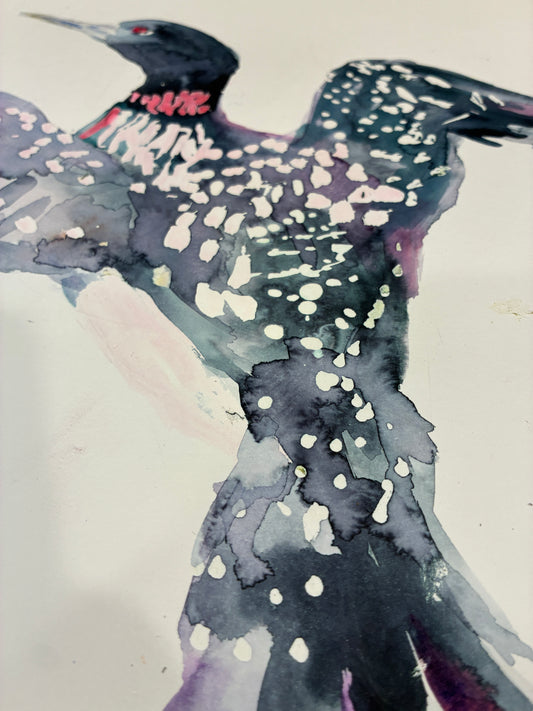 Loon Rising Original Loon Watercolor on 11" x 14" paper