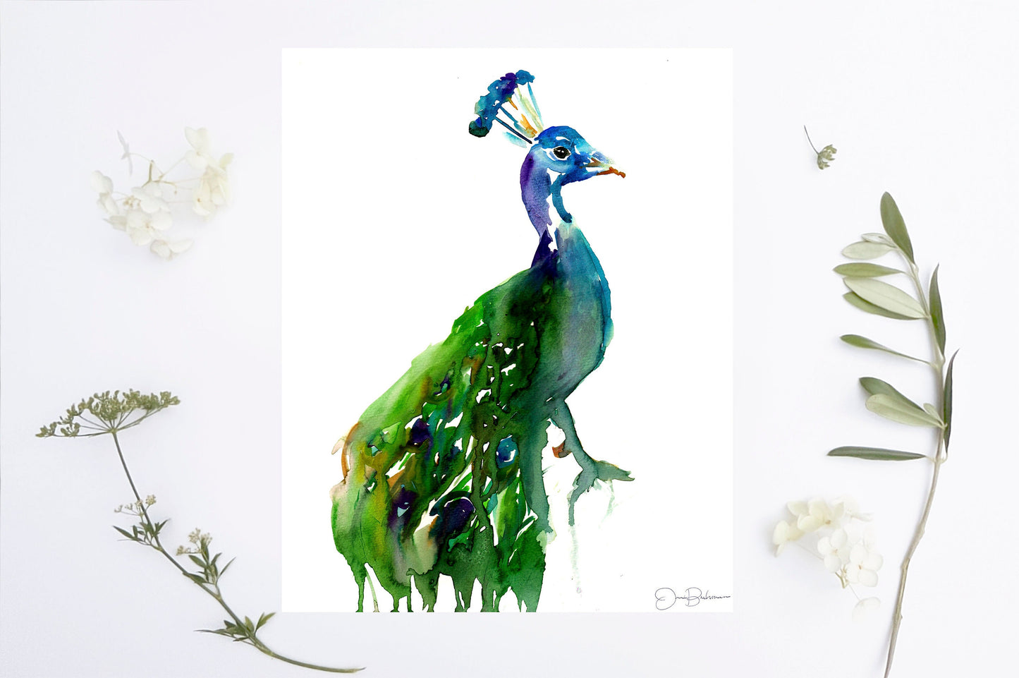 Peacock Watercolor Print | "Priscilla the Peacock" by Jess Buhman, Multiple Sizes, Wall Art, Bird Painting, Home Decor, Choose Your Size