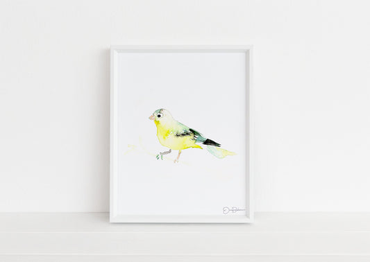 Watercolor Goldfinch Bird Instant Download  |  "Mellow Yellow" by Jess Buhman, Digital Print, Print at Home