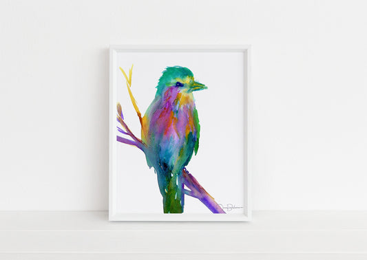 Watercolor Print of Bird "Wilma the Bird" by Jess Buhman Lilac Breasted Roller Art, Bird Painting, Watercolor Bird Print, Abstract Bird Art