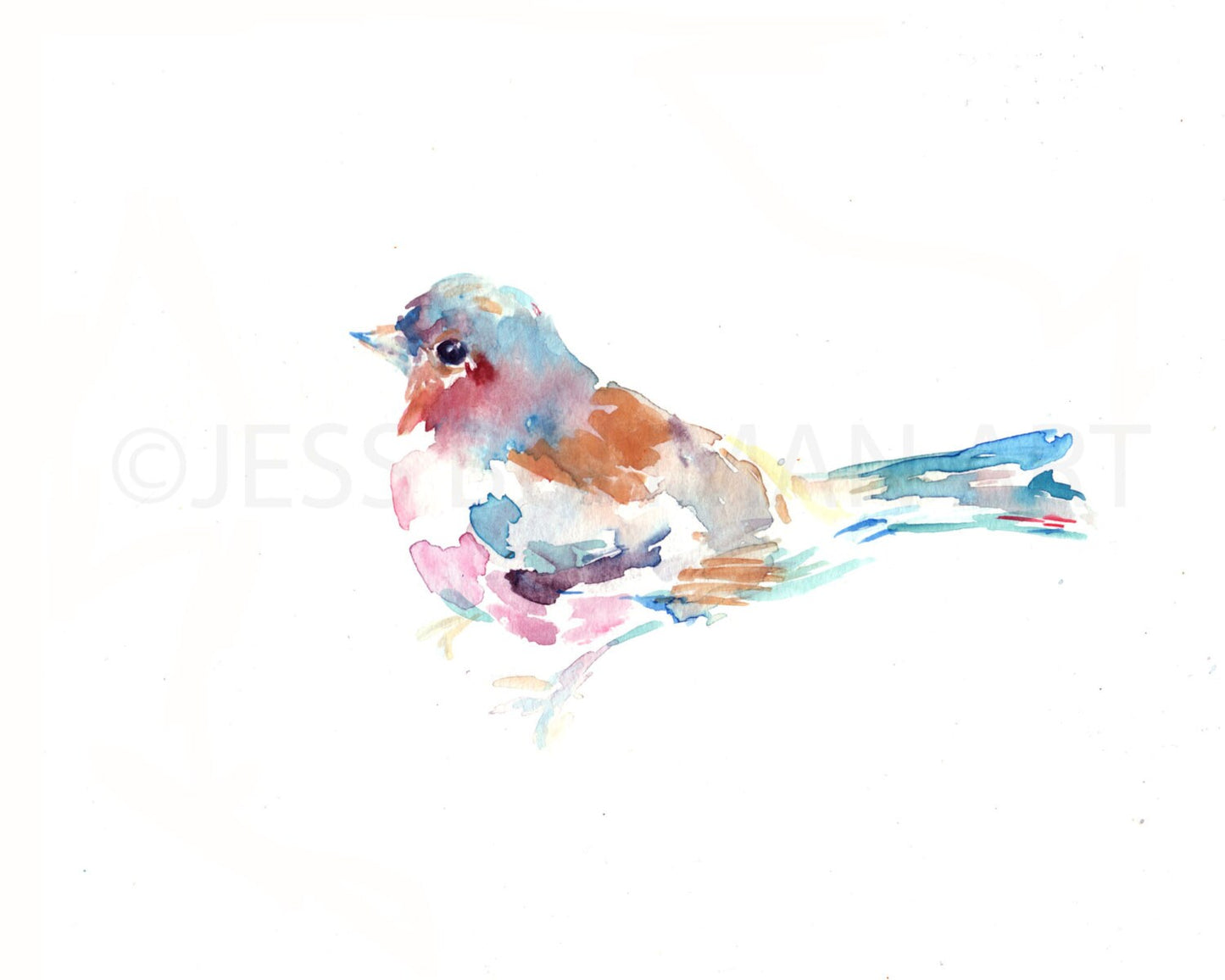 Bird Watercolor Print | "Rudy" by Jess Buhman, Multiple Sizes, Wall Art, Home Decor, Colorful Bird Painting