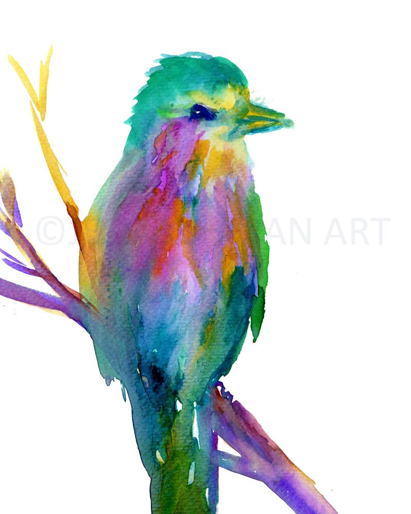 Watercolor Print of Bird "Wilma the Bird" by Jess Buhman Lilac Breasted Roller Art, Bird Painting, Watercolor Bird Print, Abstract Bird Art